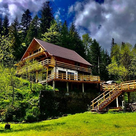 Cabana Cota 1000 Arieşeni Exteriér fotografie