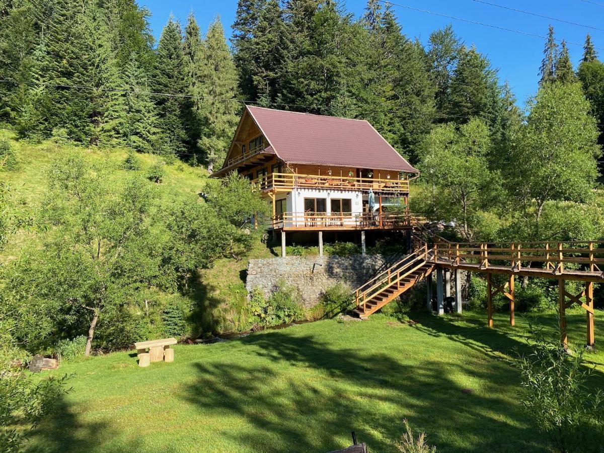Cabana Cota 1000 Arieşeni Exteriér fotografie