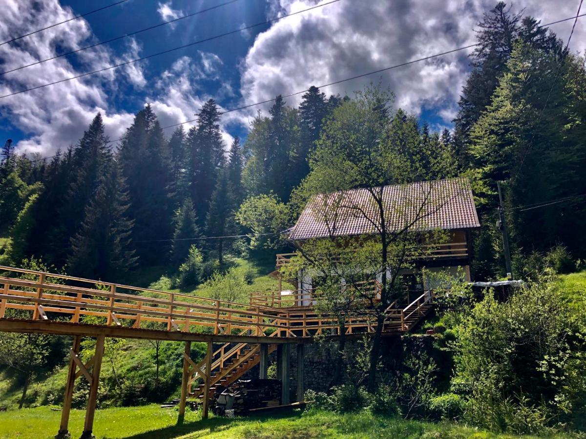 Cabana Cota 1000 Arieşeni Exteriér fotografie