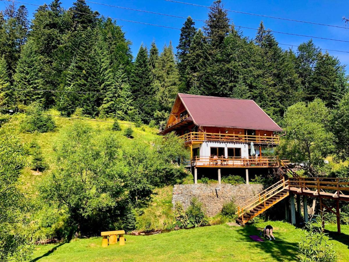 Cabana Cota 1000 Arieşeni Exteriér fotografie