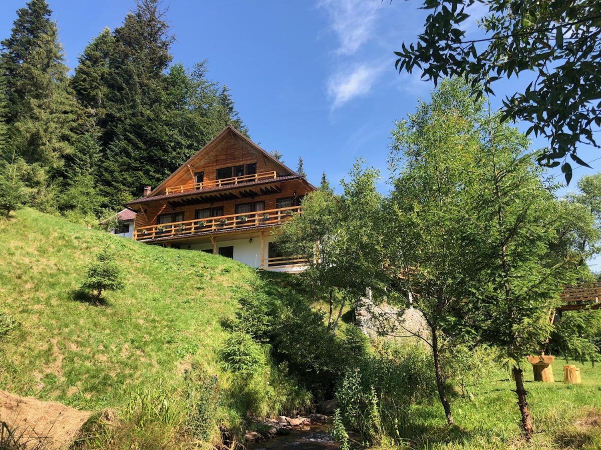 Cabana Cota 1000 Arieşeni Exteriér fotografie