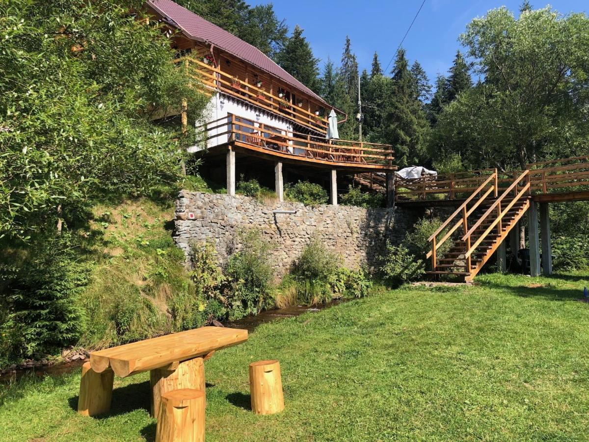 Cabana Cota 1000 Arieşeni Exteriér fotografie