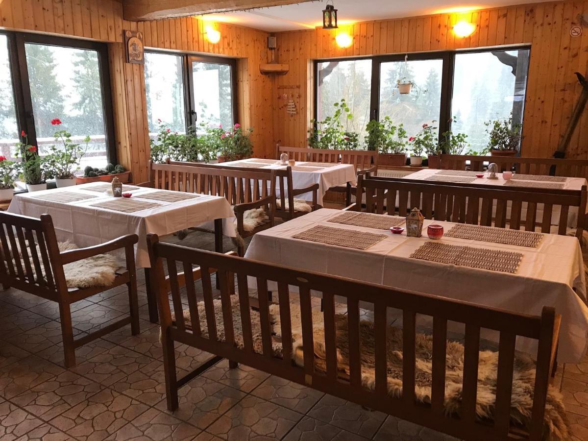 Cabana Cota 1000 Arieşeni Exteriér fotografie