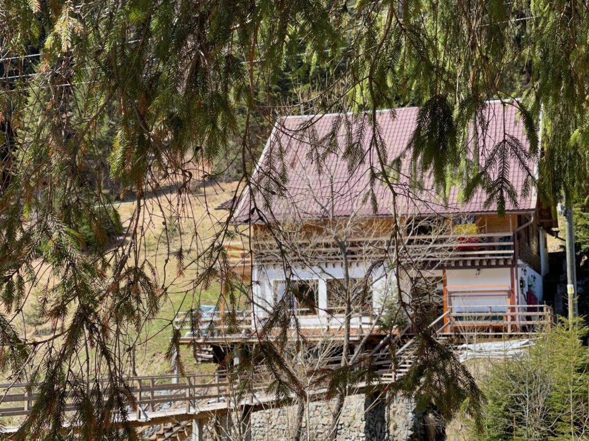 Cabana Cota 1000 Arieşeni Exteriér fotografie