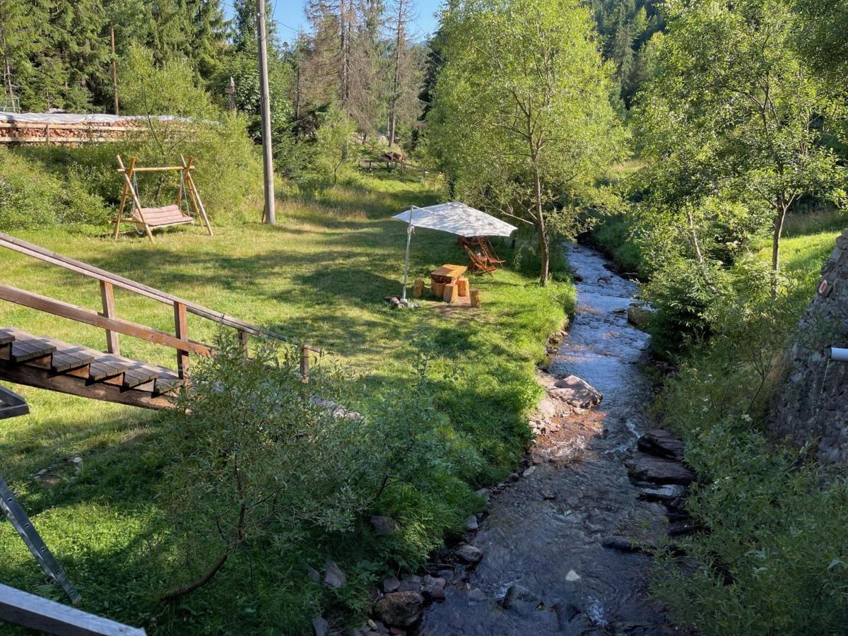 Cabana Cota 1000 Arieşeni Exteriér fotografie