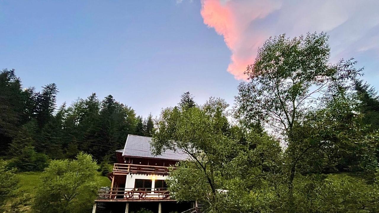 Cabana Cota 1000 Arieşeni Exteriér fotografie