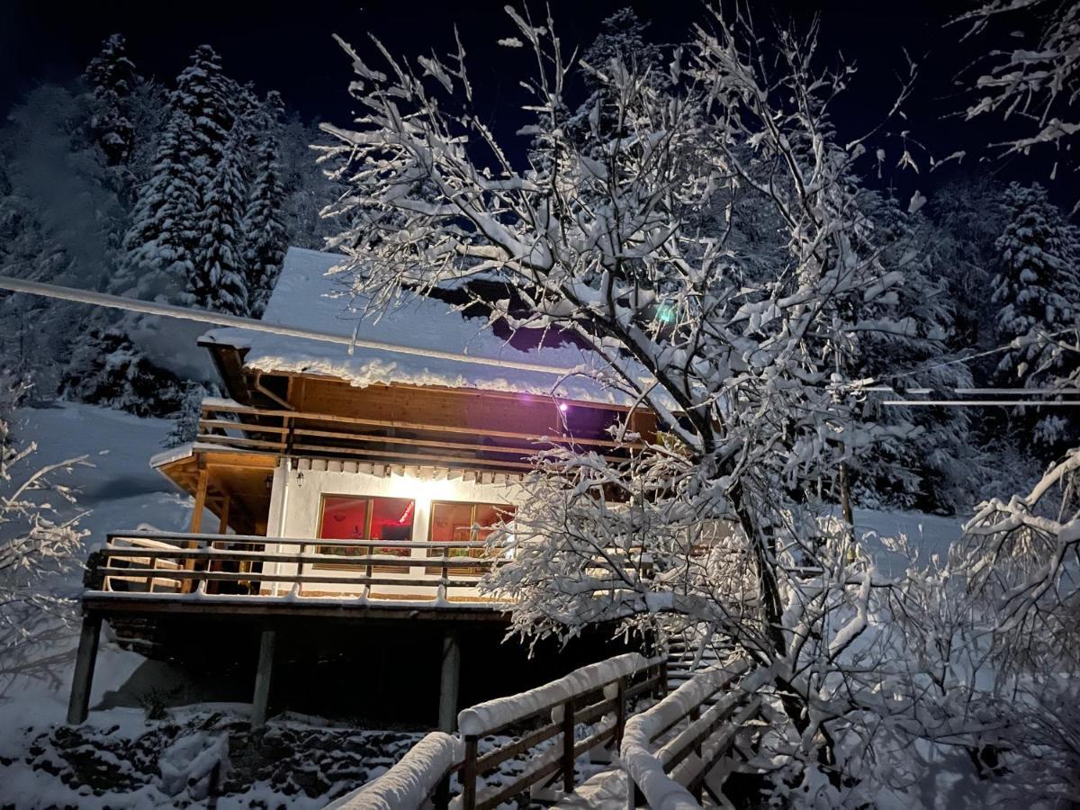 Cabana Cota 1000 Arieşeni Exteriér fotografie